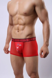 Трусы Cockcon Trunks